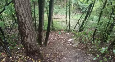 Dzikie wysypisko posprzątane. Sprawca sam się zgłosił po naszej interwencji