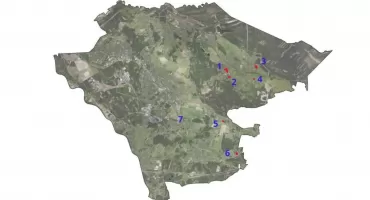 Siedem terenów w Jaworznie pod nowe domy i usługi. Radni zdecydują
