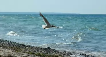 Urlop dla seniora bez stresu – jak wybrać miejsce, w którym naprawdę można odpocząć?