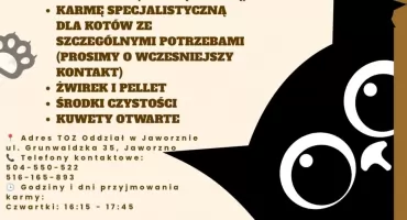 TOZ Jaworzno organizuje zbiórkę dla kotów. Potrzebna karma i środki do codziennej opieki