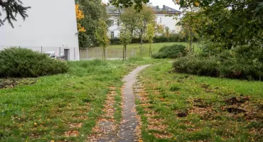 Mieszkanka Jaworzna apeluje o uporządkowanie chodnika przy ul. Pocztowej