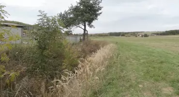 Biała Przemsza w Chrząstowicach 