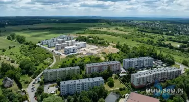 Ile kosztują mieszkania i domy w Jaworznie? Są nowe dane