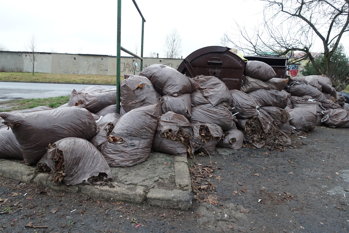Spółdzielnia Mieszkaniowa Górnik wywiozła 4,5 śmieci, głównie odpadów biodegradowalnych.