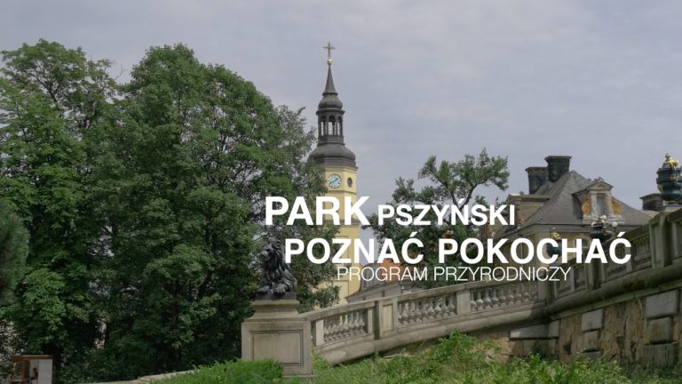 Park Pszczyński